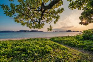 Ruins are also found on Yanaha Island, which is said to have been purchased by a Chinese woman!