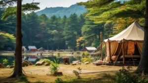 Preservation of archaeological sites and environmental protection are top priorities.