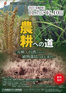 International Exchange Exhibition "The Road to Agriculture: The Beginning of Plant Cultivation in Kyushu and Taiwan